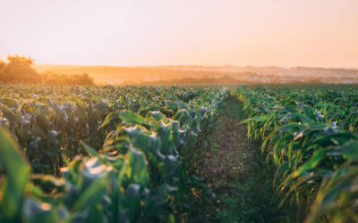 Arva Intelligence and GROWERS Partner to Help Ag Retailers Prepare Customers for Carbon Markets
