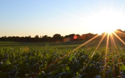 Arva Intelligence joins USDA Partnerships for Climate-Smart Commodities