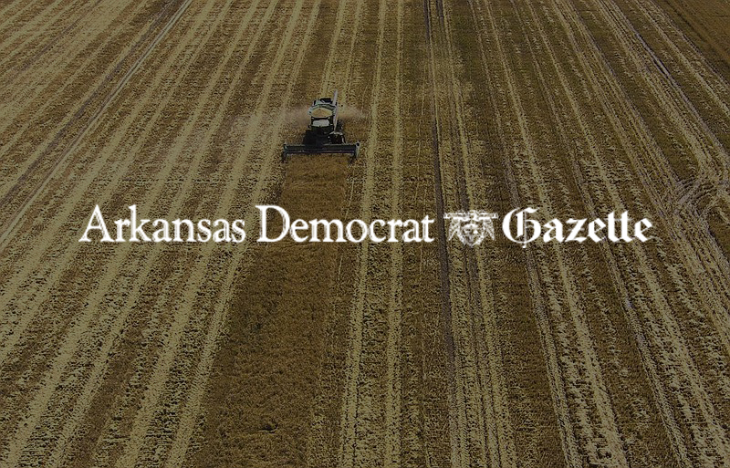 Arkansas Democrat Gazette: Purina to back Riceland and Arva Intelligence program